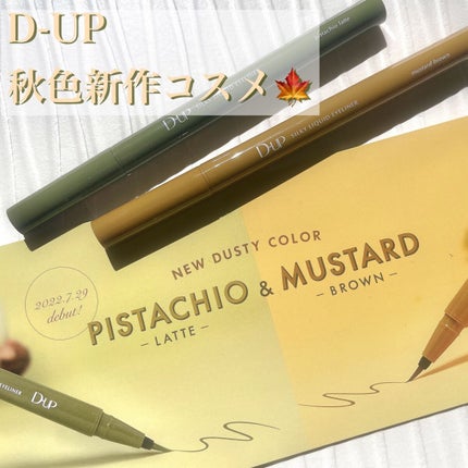 シルキーリキッドアイライナーWP/D-UP/リキッドアイライナーを使ったクチコミ(1枚目)