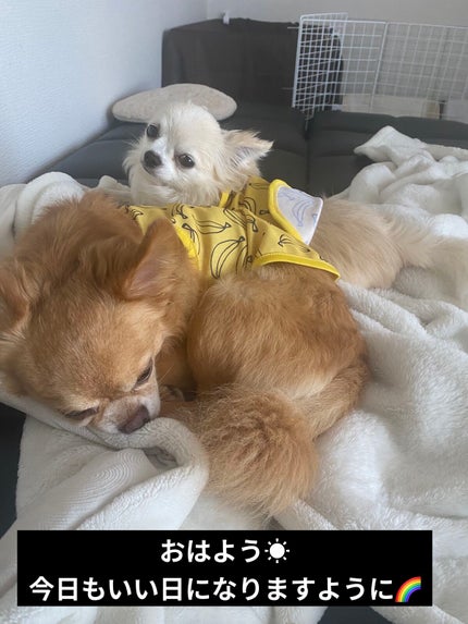 クレーム アブリコ/Dior/ネイル用品を使ったクチコミ(7枚目)