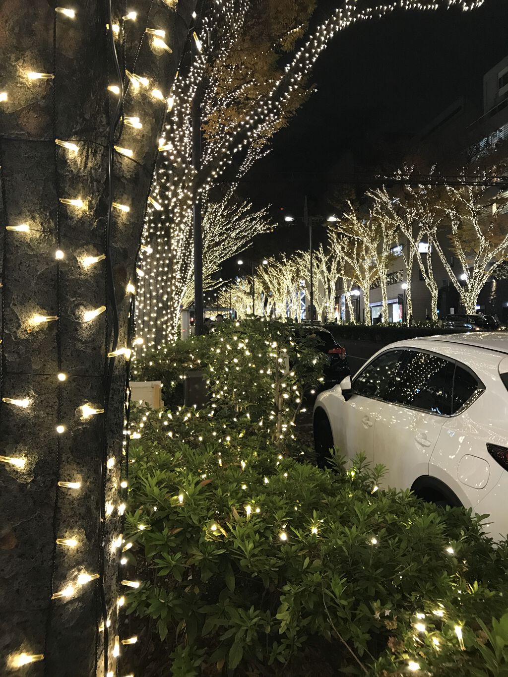 フィーノ　プレミアムタッチ　濃厚美容液ヘアマスク/フィーノ/ヘアマスク・ヘアパックを使ったクチコミ（2枚目）