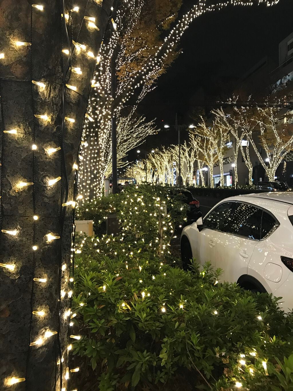 フィーノ プレミアムタッチ 濃厚美容液ヘアマスク/フィーノ/ヘアマスク・ヘアパックを使ったクチコミ(2枚目)