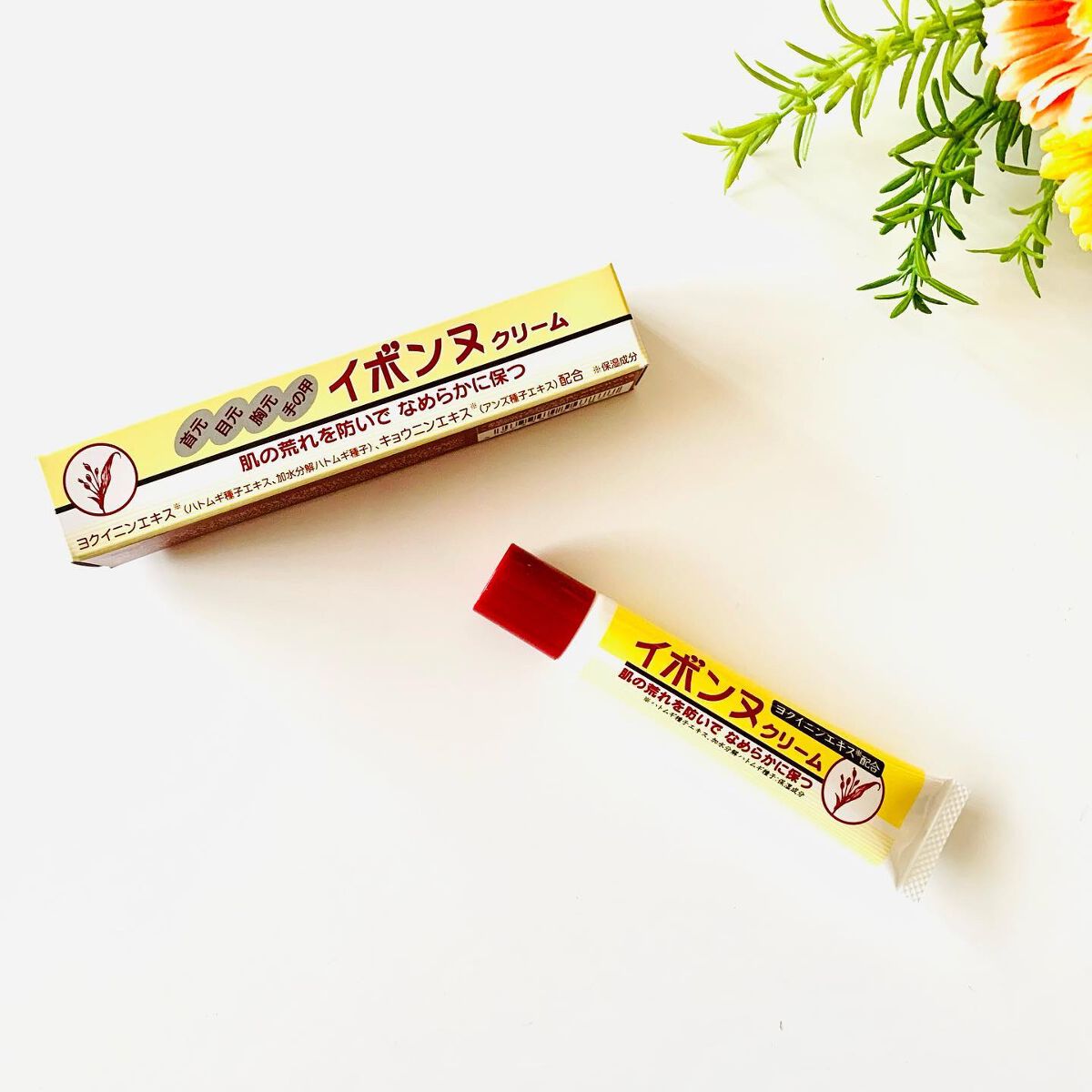 イボンヌ クリーム TA/イボンヌ/その他スキンケアを使ったクチコミ（1枚目）