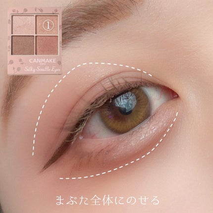 シルキースフレアイズ(マットタイプ)/キャンメイク/アイシャドウパレットを使ったクチコミ(2枚目)