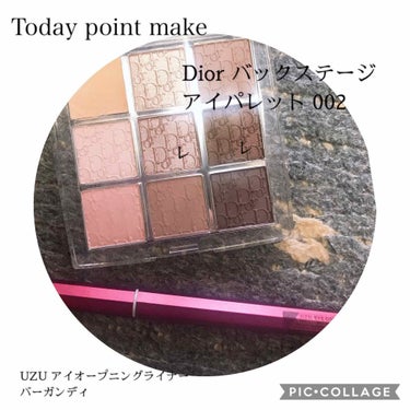 ディオール バックステージ アイ パレット/Dior/パウダーアイシャドウを使ったクチコミ（1枚目）