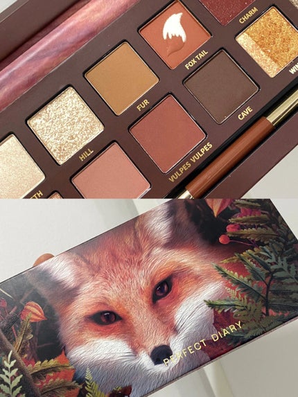 エクスプローラ12色 動物アイシャドウパレット/PERFECT DIARY/アイシャドウパレットを使ったクチコミ(6枚目)