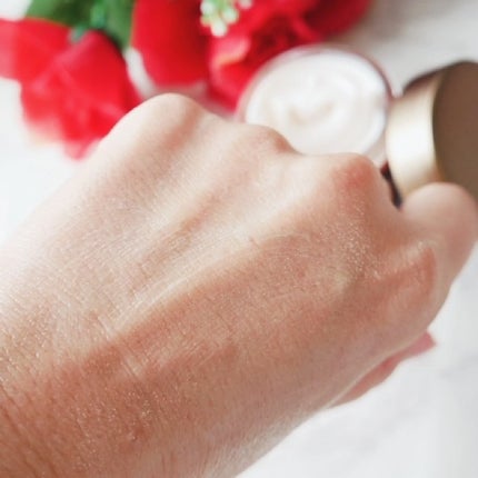 Plenum ディープホールド クリーム/N organic/フェイスクリームを使ったクチコミ(7枚目)