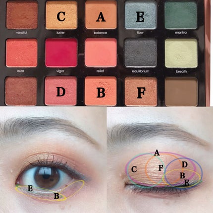 ゼンドゥーパレット/Natasha Denona/アイシャドウパレットを使ったクチコミ(4枚目)