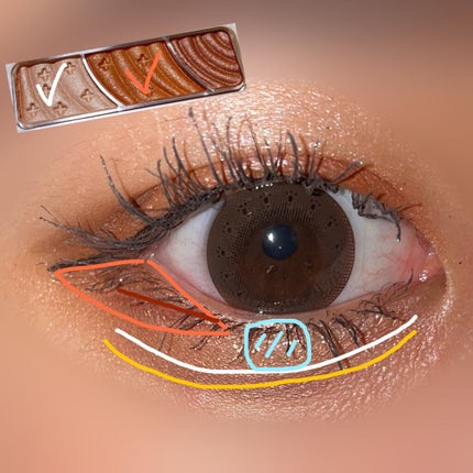 トーンアップアイシャドウ/CEZANNE/アイシャドウパレットを使ったクチコミ(4枚目)