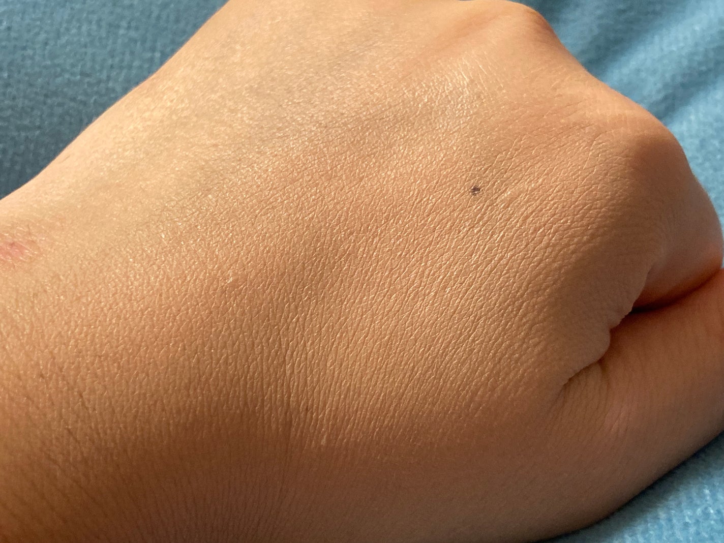 クリエイターズ ロングウェア UV クッション/ブリリアージュ/クッションファンデーションを使ったクチコミ(5枚目)