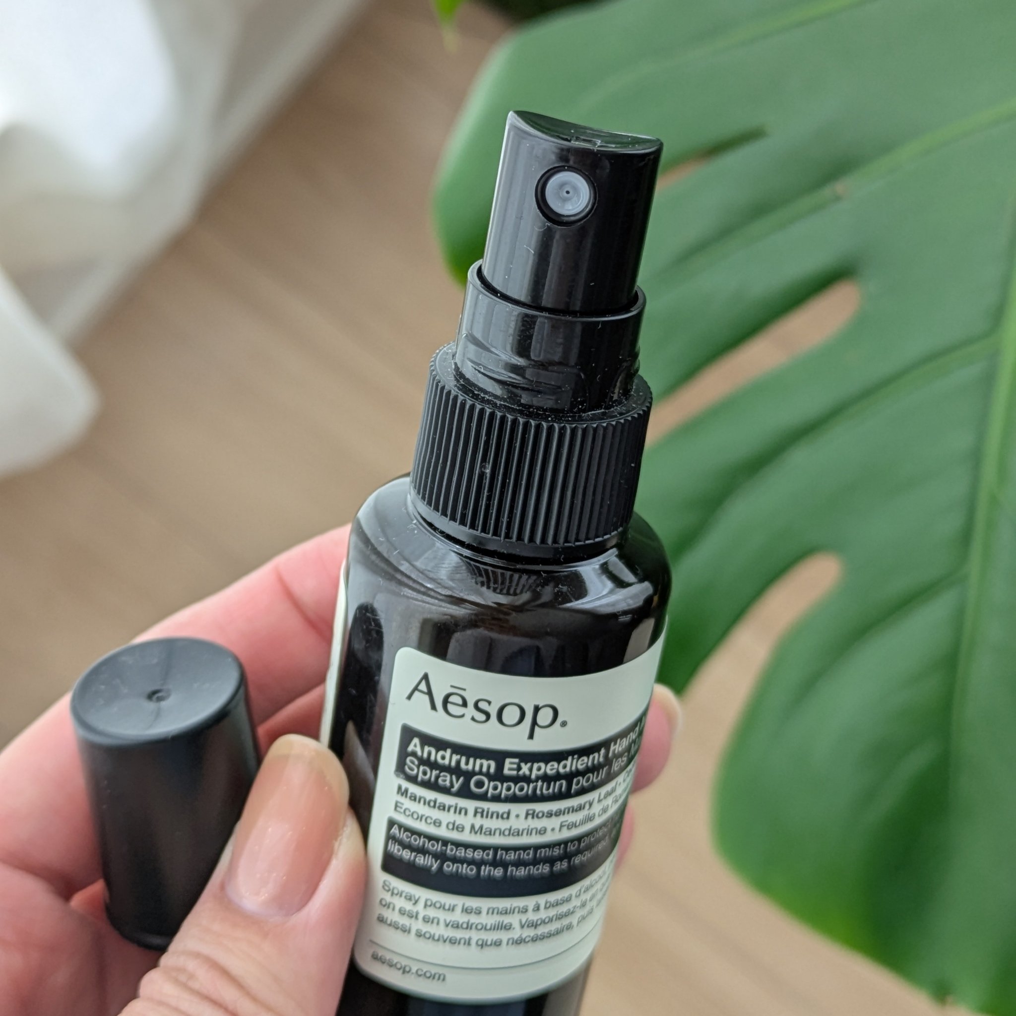 アンドラム　エクスペディエントハンドミスト/Aesop/ハンドクリームを使ったクチコミ（2枚目）