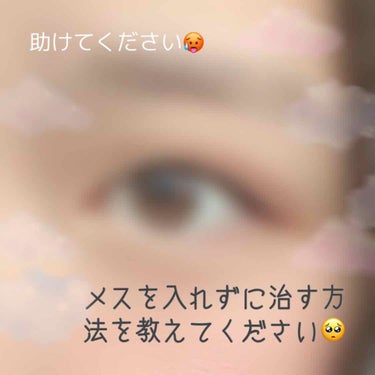 ⚠️2枚目に目の画像があります⚠️






私がずっとずっと悩んでいる目について教えて欲しいです🥺

2枚目のように私はまつ毛の生え際が見えません🥶
ちなみにノーメイクです🥶


そのため目が眠たそ