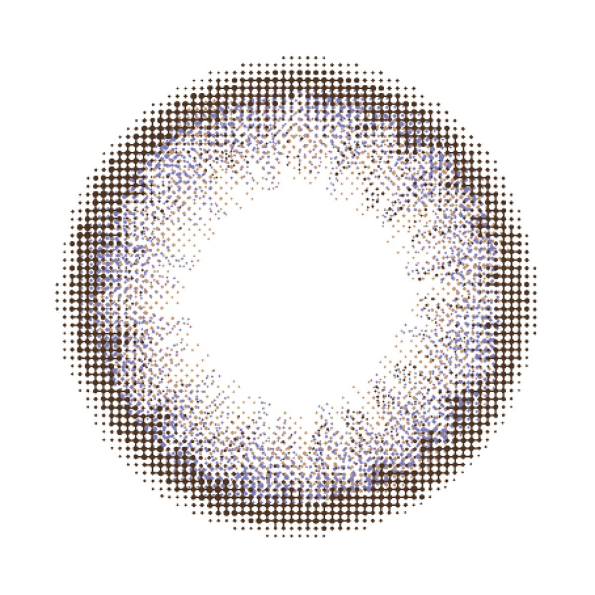 1day サテンプラム