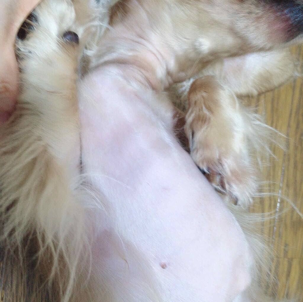 Sarhto on LIPS 「世界34ヶ国で特許を取得している健康サポート成分「MRE成分」..」(4枚目)