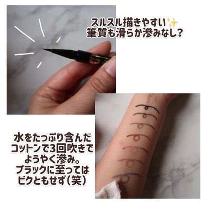 ラインエキスパンダー /MAJOLICA MAJORCA/リキッドアイライナーを使ったクチコミ(4枚目)