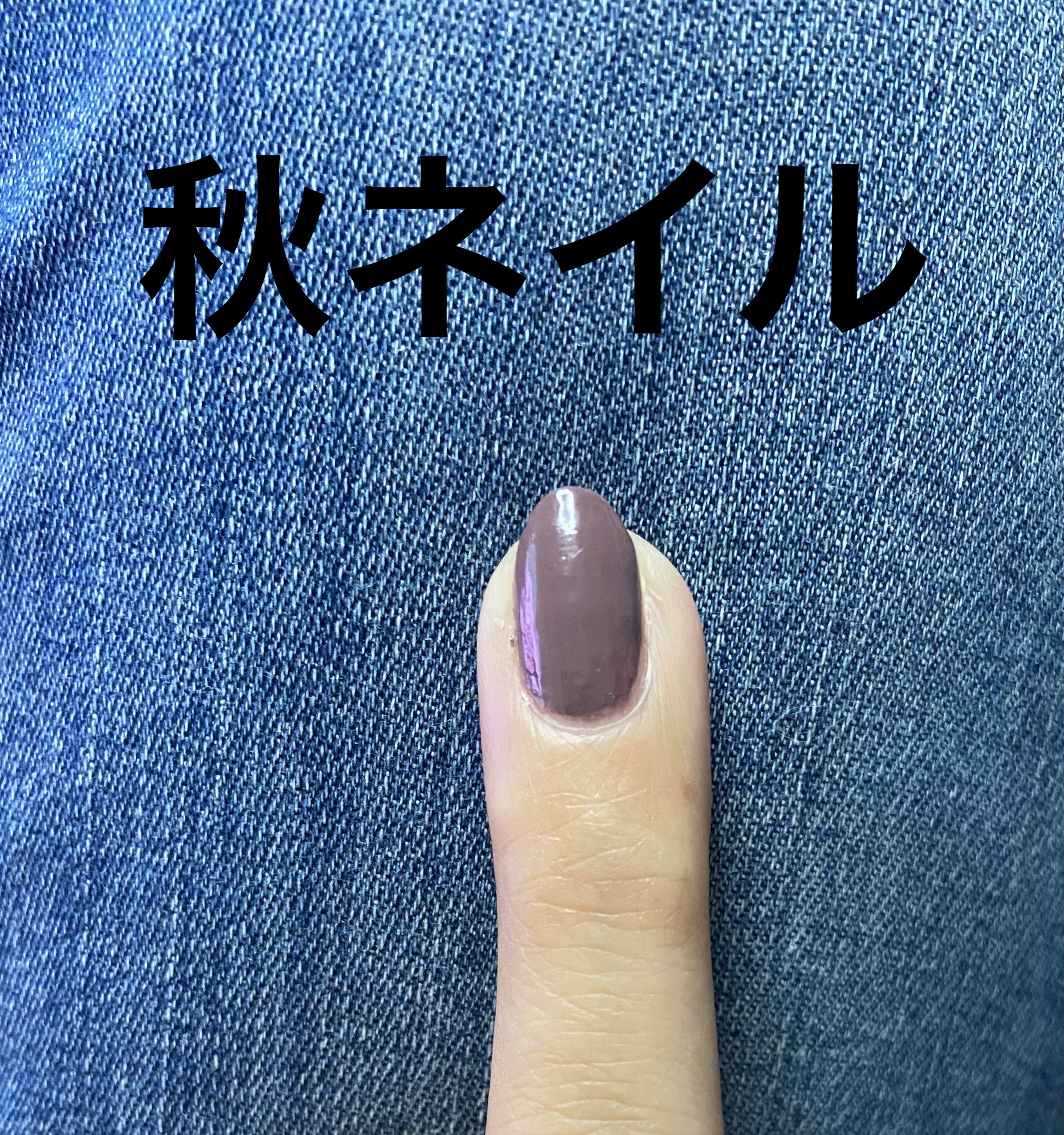 ネイルホリック PU118/ネイルホリック/マニキュアを使ったクチコミ（1枚目）