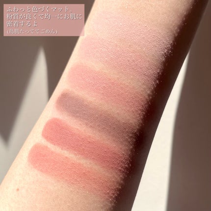 ブラーフィニシュシャドウパレット/Dinto/アイシャドウパレットを使ったクチコミ(5枚目)