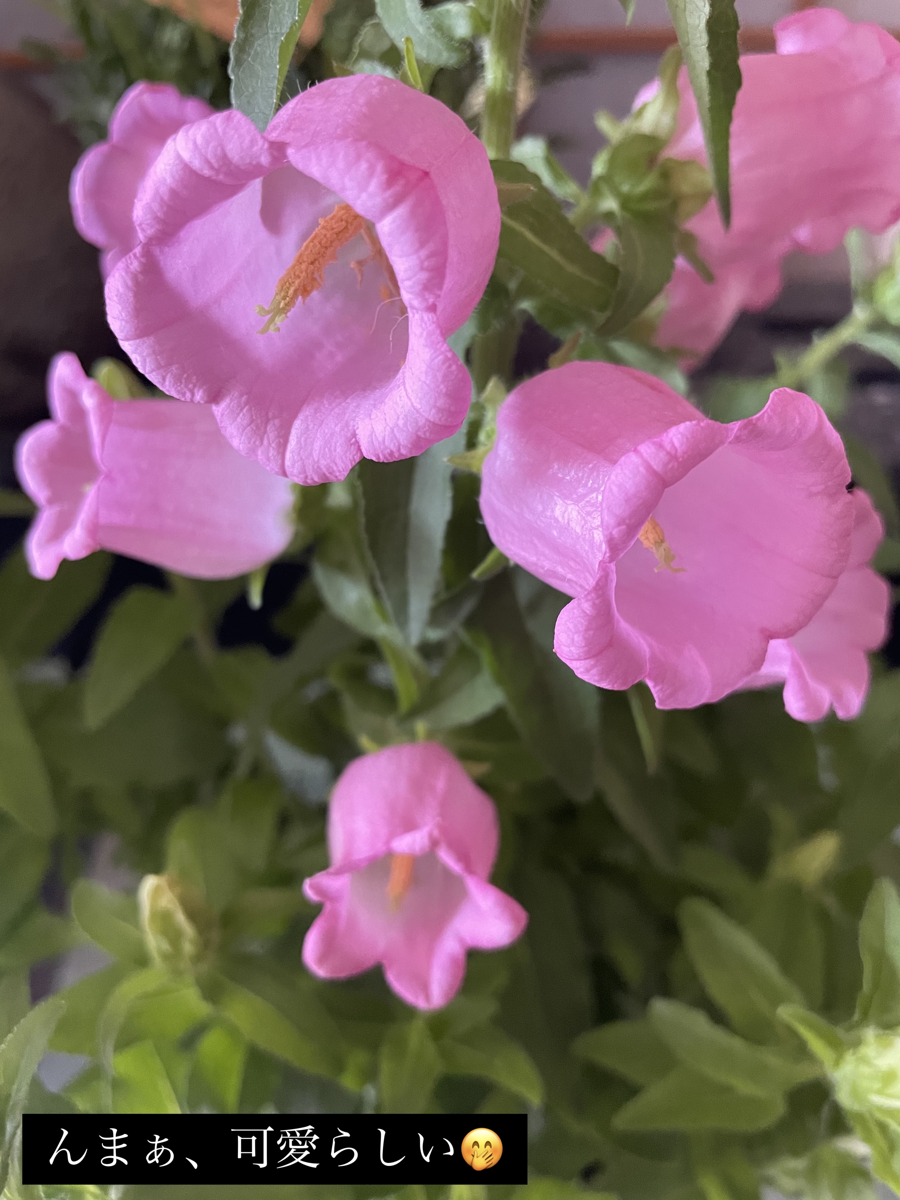 フィクシングティント スリーピーKOYA/ETUDE/リップティントを使ったクチコミ（3枚目）