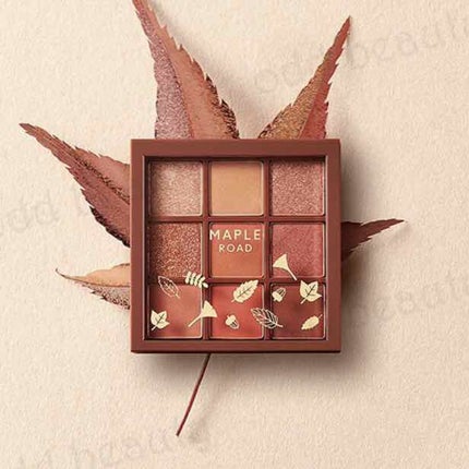 ルドルフ プレイカラー アイシャドウミニ トナカイ/ETUDE/アイシャドウパレットを使ったクチコミ(2枚目)