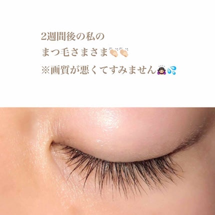 ラッシュジェリードロップ EX/MAJOLICA MAJORCA/まつげ美容液を使ったクチコミ(3枚目)