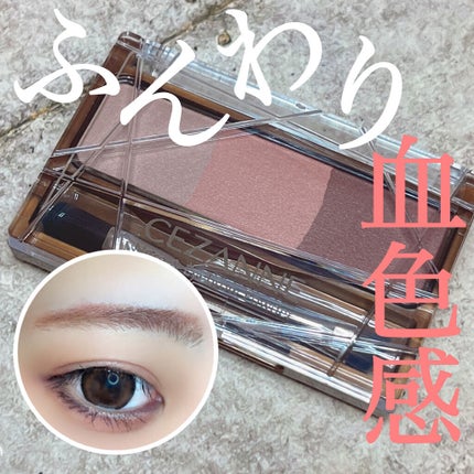 ノーズ&アイブロウパウダー/CEZANNE/パウダーアイブロウを使ったクチコミ(1枚目)