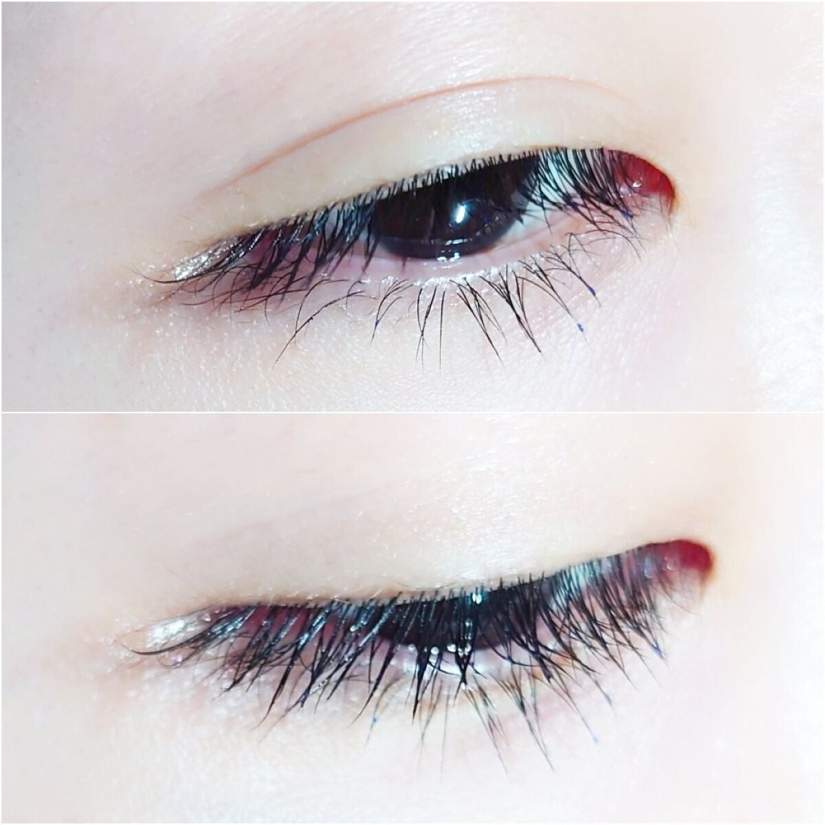 マジックティント/MAJOLICA MAJORCA/マスカラを使ったクチコミ(3枚目)