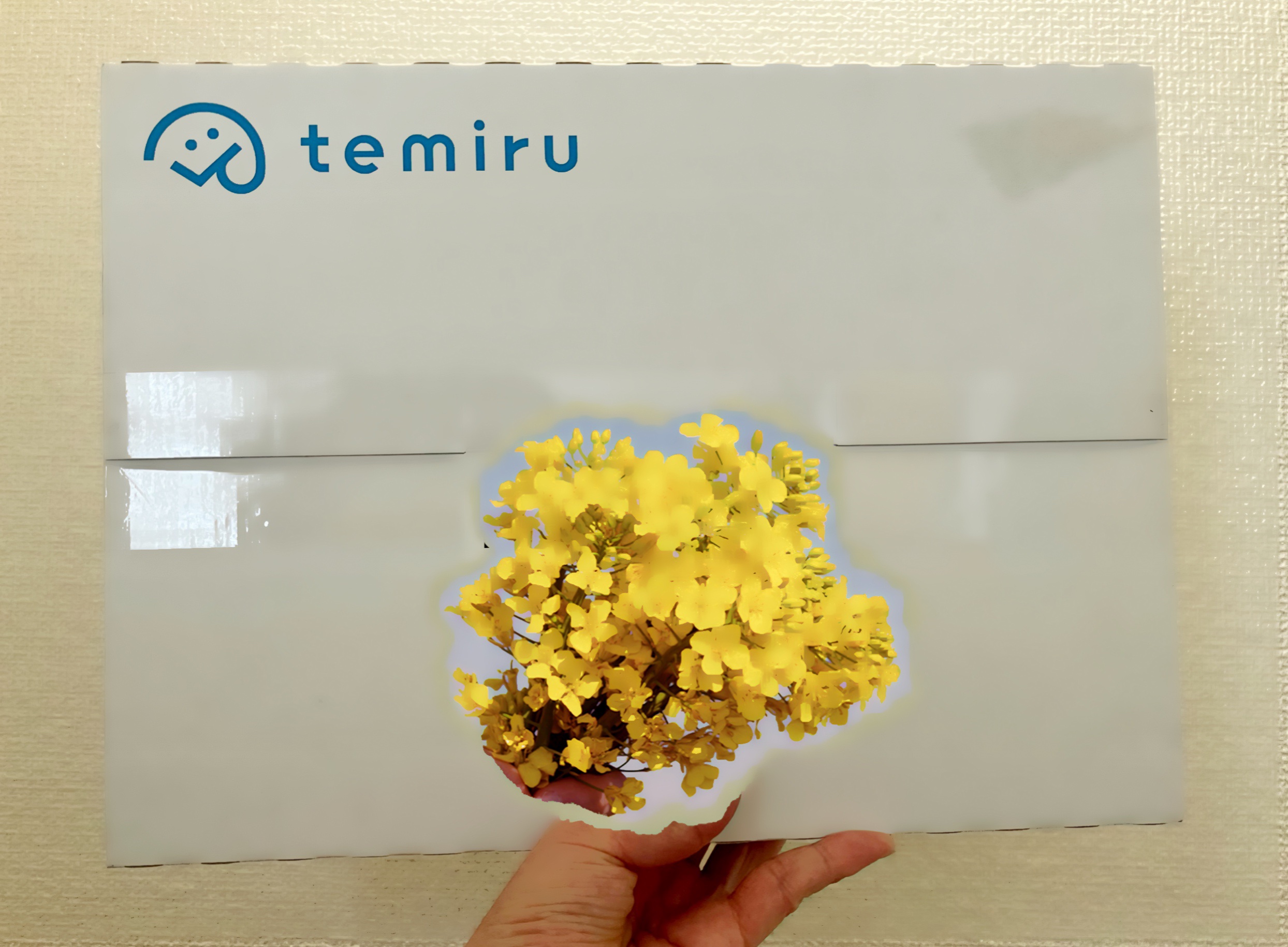 スキンアップローション モイスチャータイプ/Stency/化粧水を使ったクチコミ（2枚目）