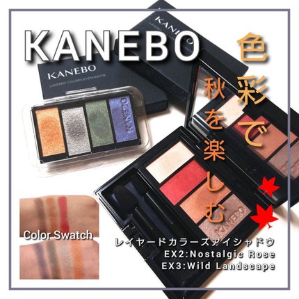 レイヤードカラーズアイシャドウ EX3 Wild Landscape(限定)/KANEBO/アイシャドウパレットを使ったクチコミ(1枚目)