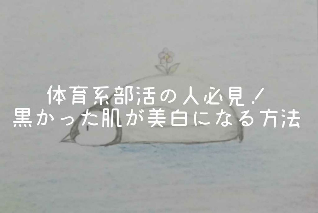 白潤 薬用美白化粧水(旧)/肌ラボ/化粧水を使ったクチコミ(1枚目)