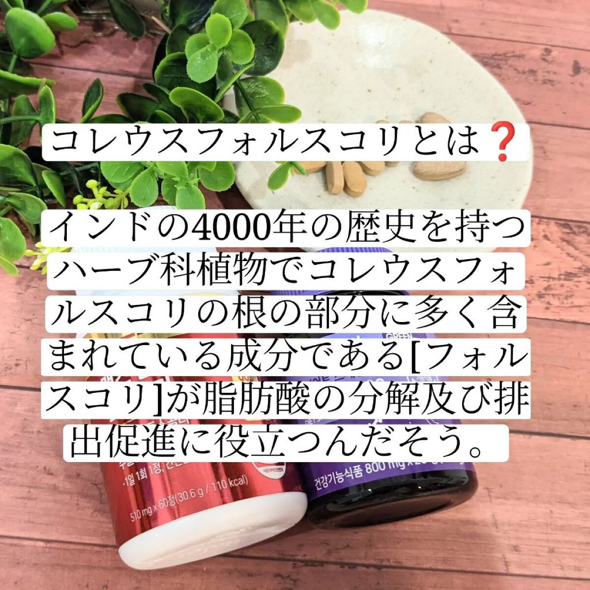 コレウス フォルスコリ500/グリーンモンスター/健康サプリメントを使ったクチコミ（2枚目）