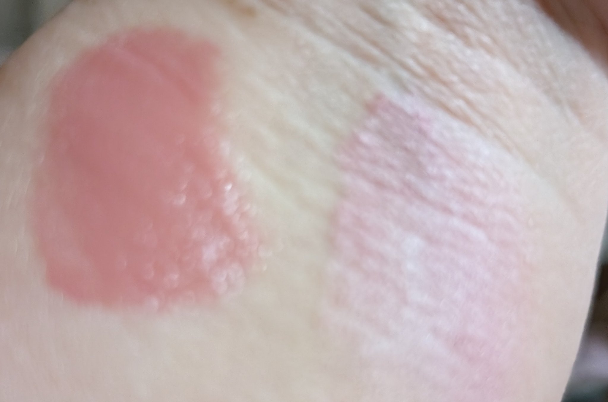 パウダーチークス/キャンメイク/パウダーチークを使ったクチコミ（2枚目）