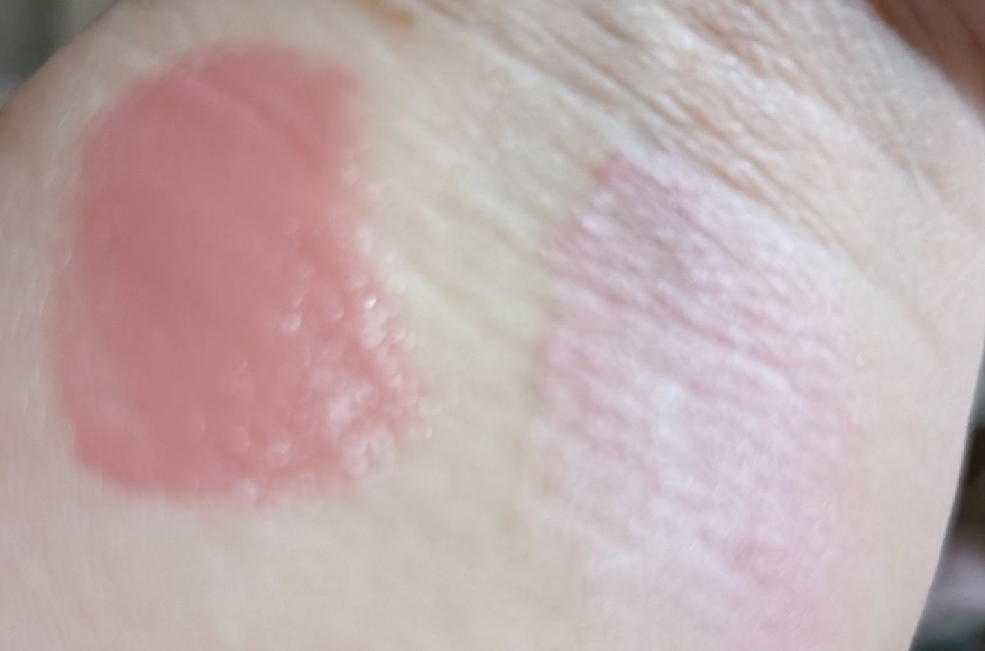 パウダーチークス/キャンメイク/パウダーチークを使ったクチコミ(2枚目)