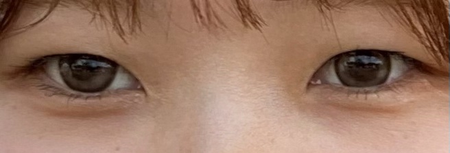 エバーカラーワンデーミリモア よくばりシロップ/エバーカラー/ワンデー（１DAY）カラコンを使ったクチコミ（2枚目）