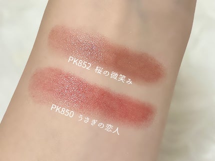 ネンマクフェイク ルージュ/Visée/口紅を使ったクチコミ(5枚目)