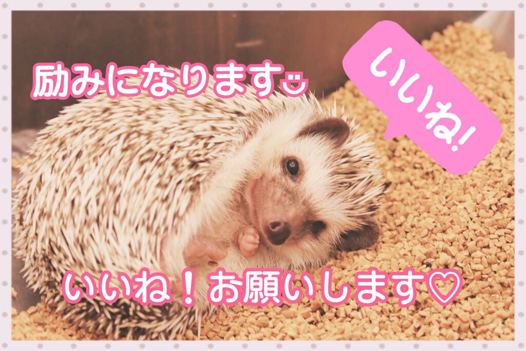 しっとり毛穴ケアクレンジングバーム/ダヴ/クレンジングバームを使ったクチコミ(4枚目)