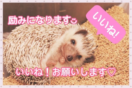 しっとり毛穴ケアクレンジングバーム/ダヴ/クレンジングバームを使ったクチコミ(4枚目)