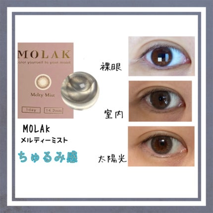 MOLAK 1day/MOLAK/ワンデー(1DAY)カラコンを使ったクチコミ(1枚目)