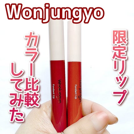 ウォンジョンヨ フォンダンリップ/Wonjungyo/口紅を使ったクチコミ(1枚目)
