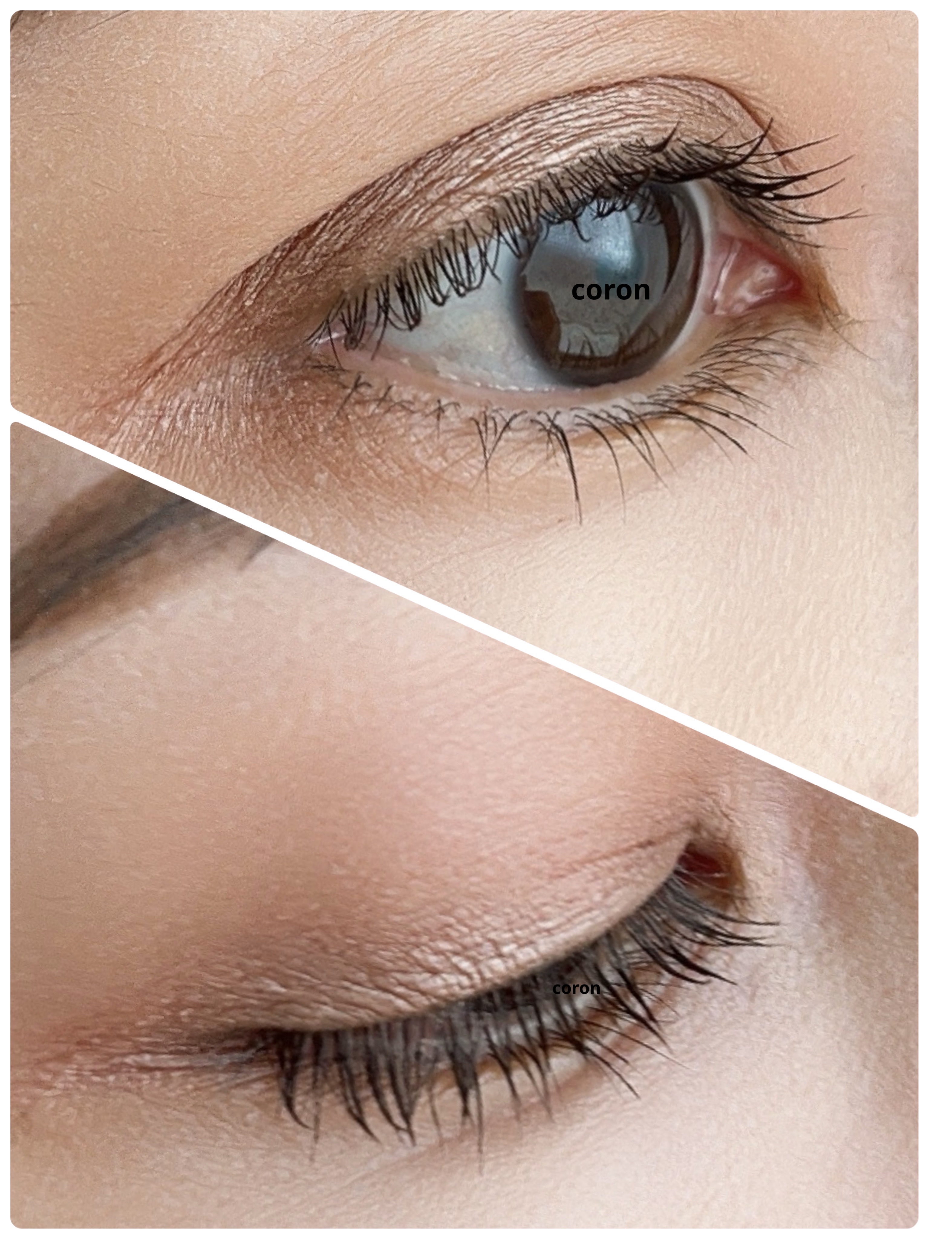 パーフェクトエクステンション マスカラ/D-UP/マスカラを使ったクチコミ（2枚目）