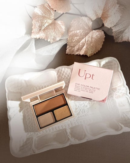 アイカラーパレット/Upt/アイシャドウパレットを使ったクチコミ(4枚目)