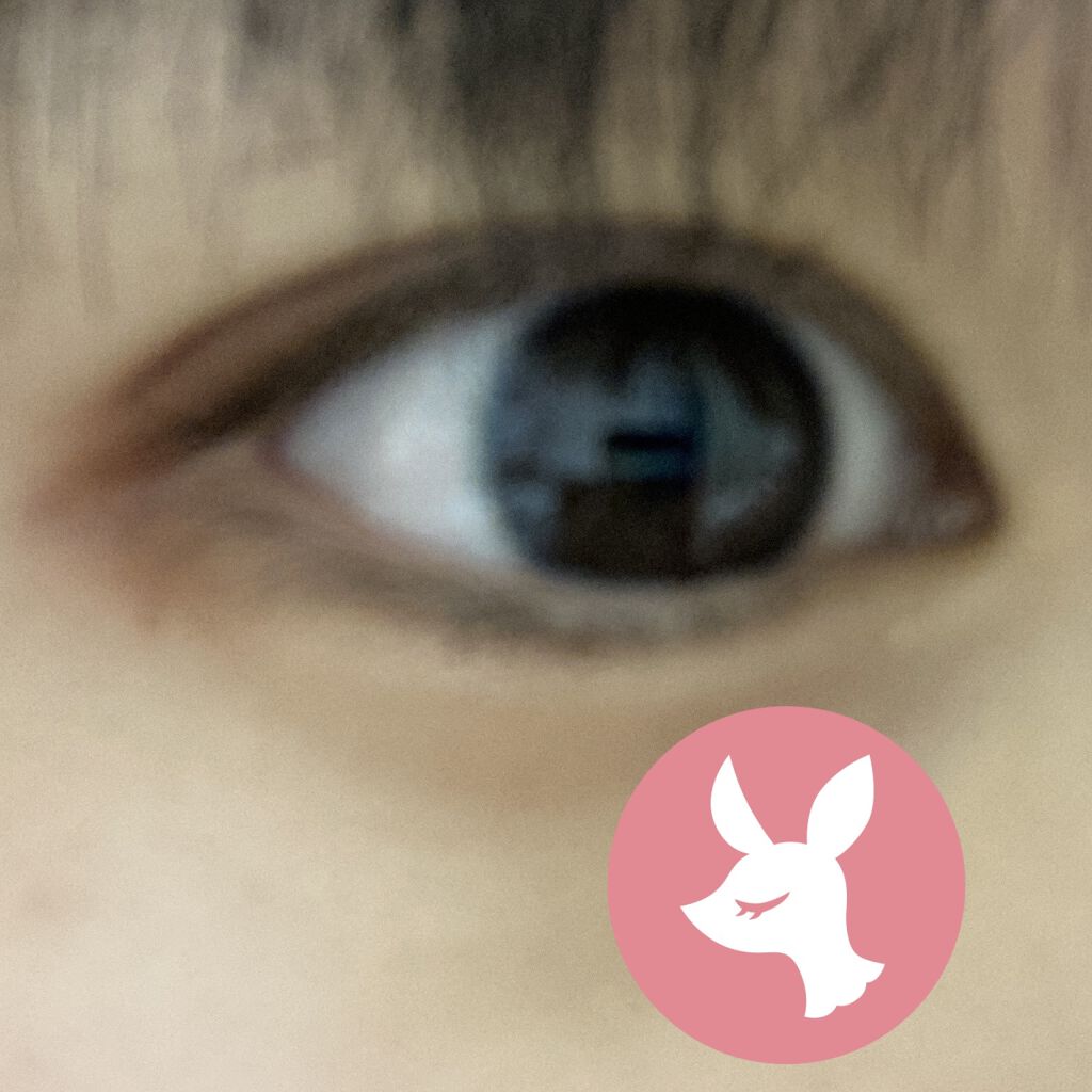 プロ アイ パレット/CLIO/アイシャドウパレットを使ったクチコミ（2枚目）