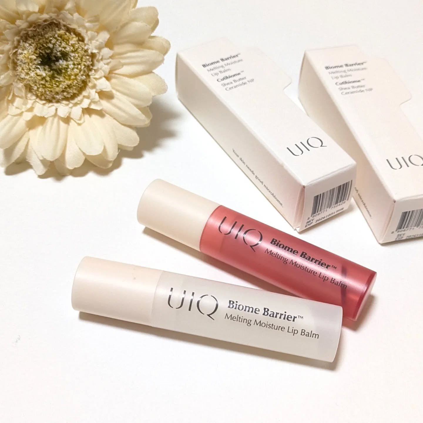 バイオームバリアメルティングモイスチャーリップバーム/UIQ/リップバームを使ったクチコミ（2枚目）