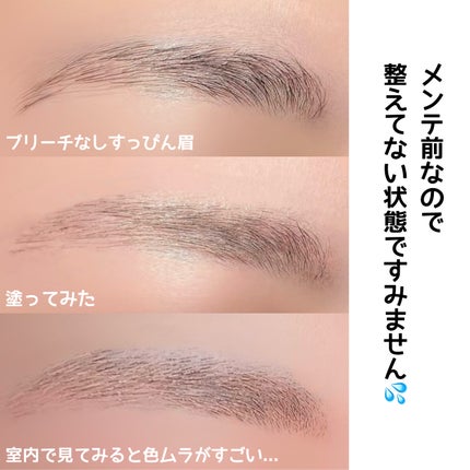 コンシーラーブロウマスカラ/キャンメイク/その他アイブロウを使ったクチコミ(3枚目)