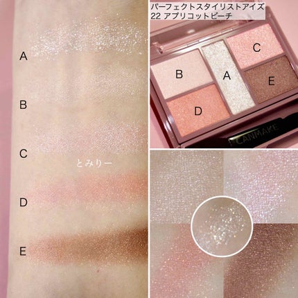 【旧品】パーフェクトスタイリストアイズ/キャンメイク/アイシャドウパレットを使ったクチコミ(2枚目)