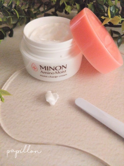 ミノン アミノモイスト モイストチャージ クリーム/ミノン/フェイスクリームを使ったクチコミ(2枚目)