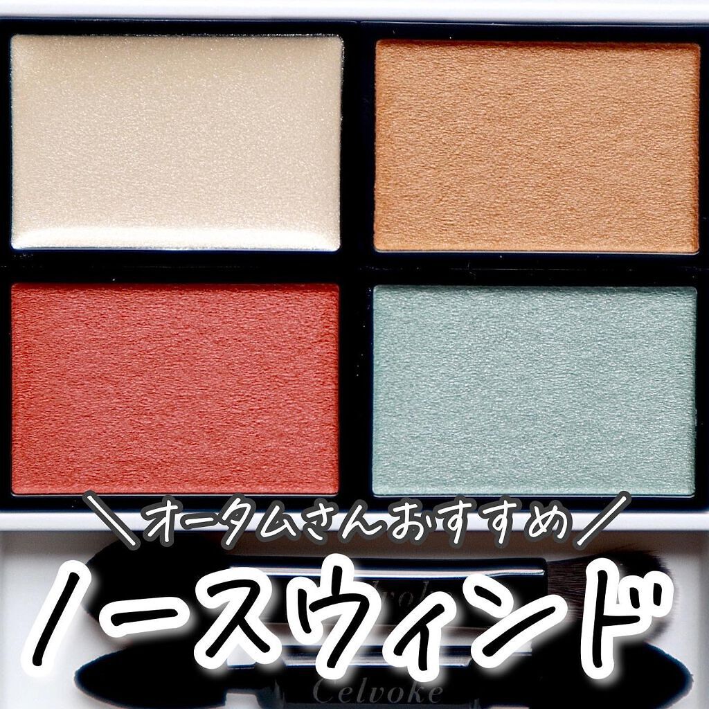 ヴォランタリーベイシス アイパレット EX06 ノースウィンド/Celvoke/アイシャドウパレットを使ったクチコミ（1枚目）