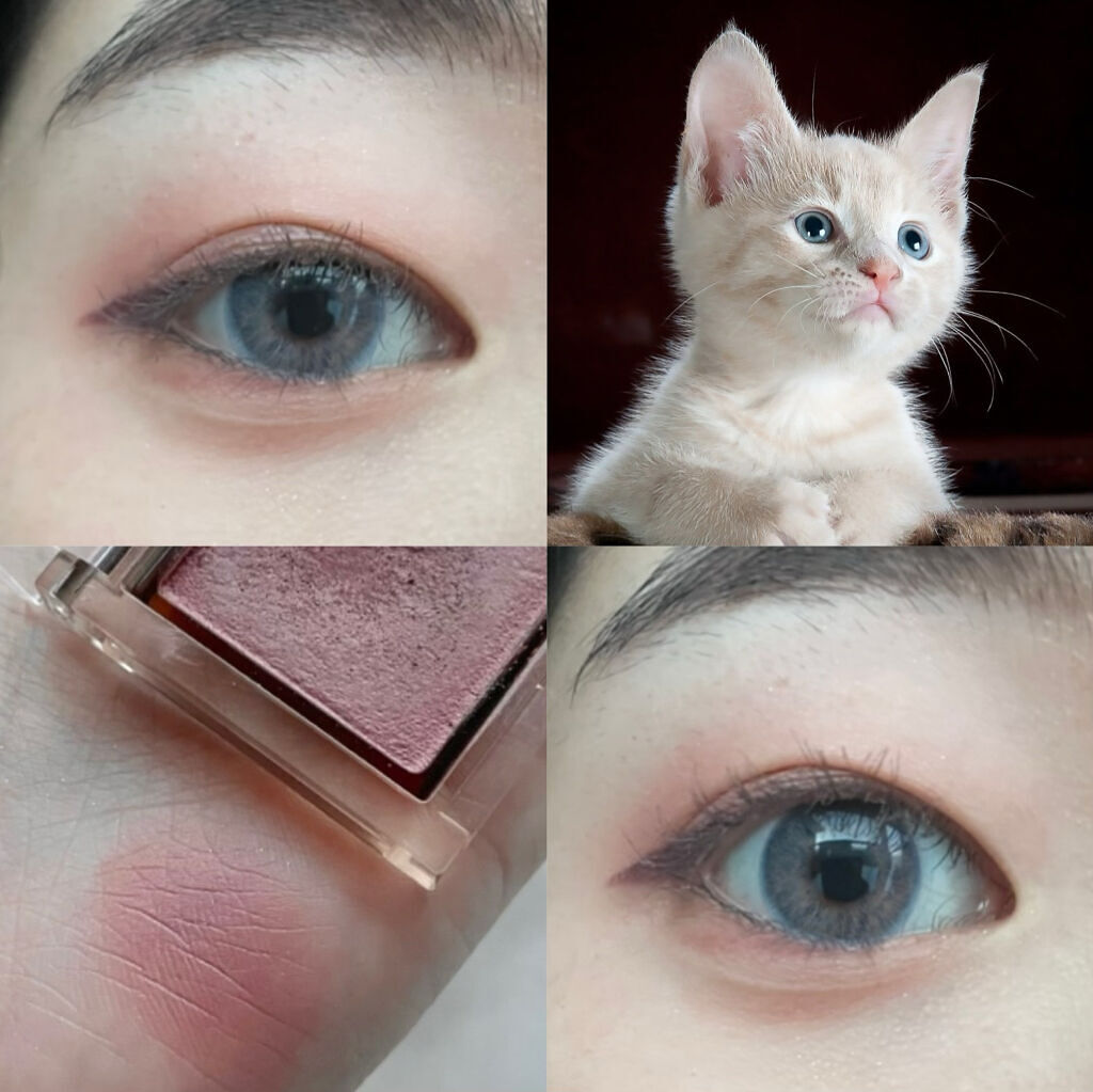 アイプランナー/excel/単色アイシャドウを使ったクチコミ（1枚目）