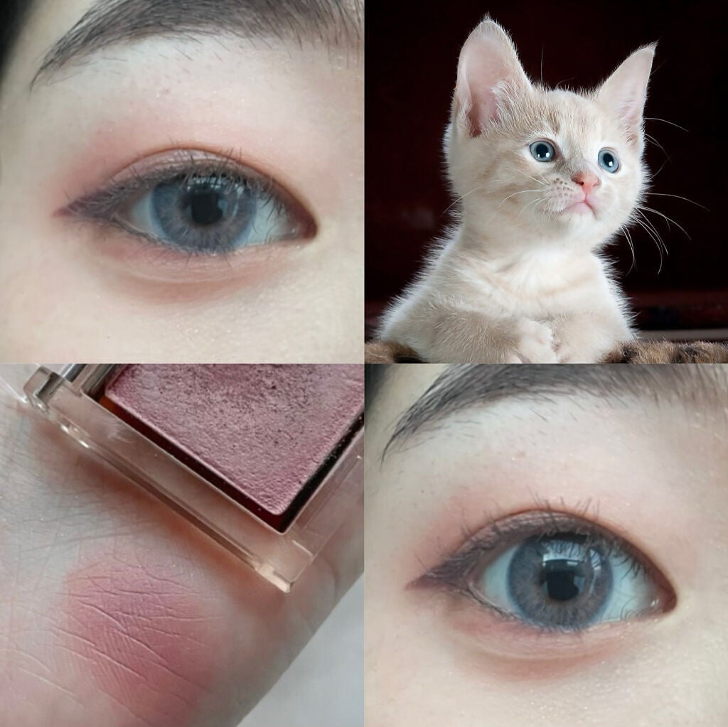 アイプランナー/excel/単色アイシャドウを使ったクチコミ(1枚目)