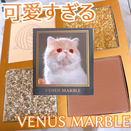 Venus Marble アイシャドウキャットシリーズ/Venus Marble/アイシャドウパレットを使ったクチコミ(1枚目)