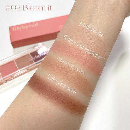 ムードイットパレット/lilybyred/マルチパレットを使ったクチコミ(6枚目)