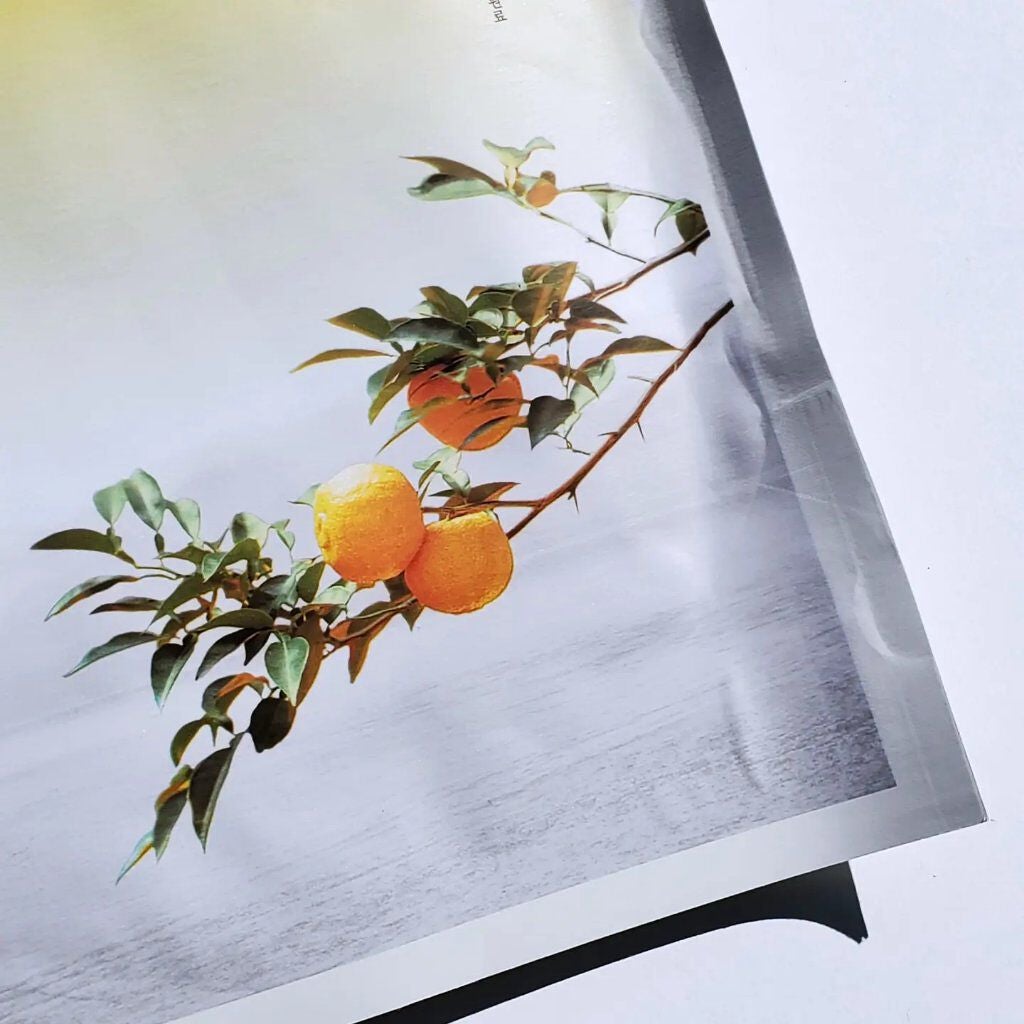 月光ゆずオイルシートマスク/HANYUL(ハンユル)/シートマスク・パックを使ったクチコミ(3枚目)