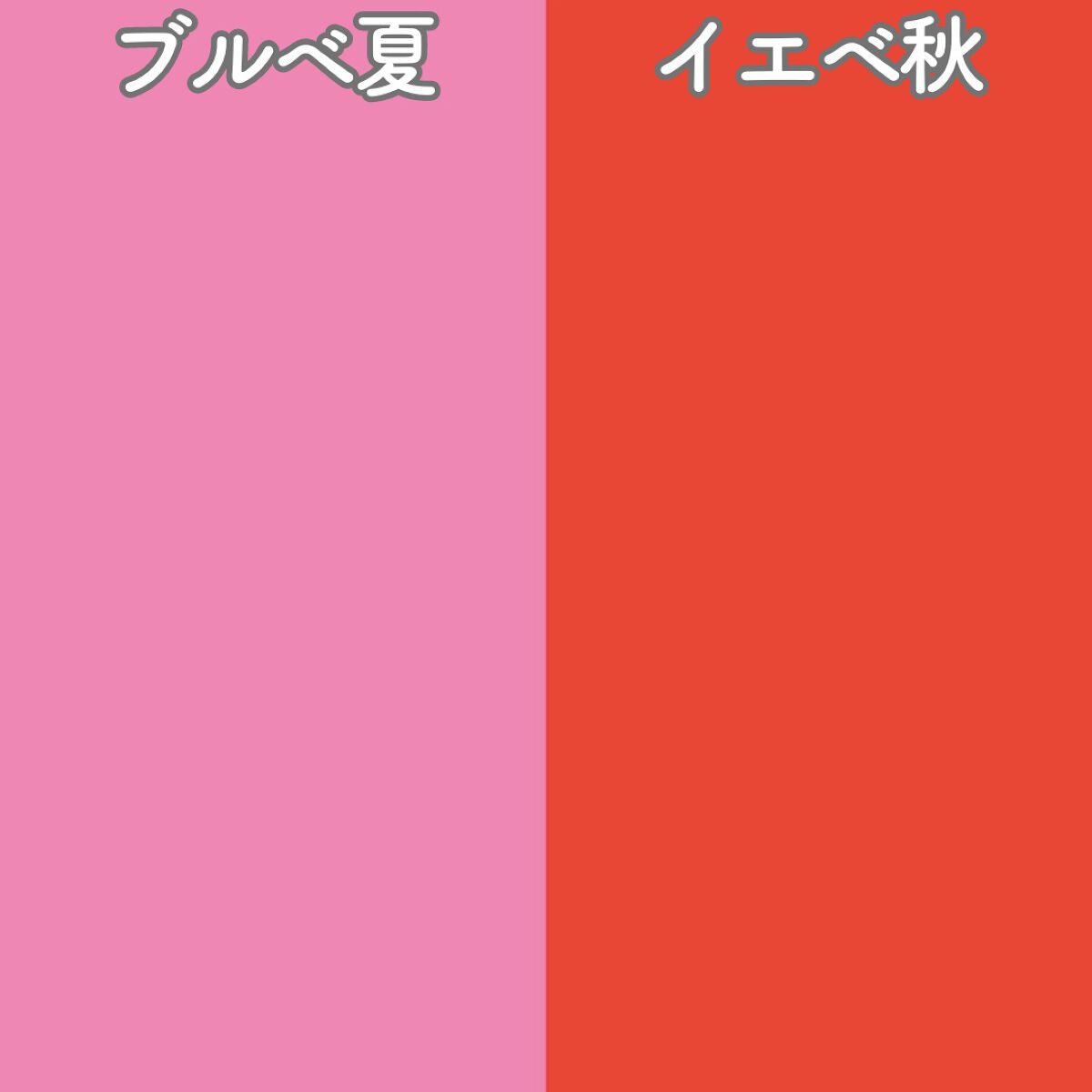 パーソナルカラー診断/Visée/その他を使ったクチコミ(4枚目)